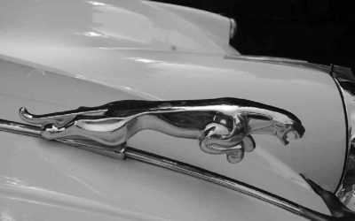 Lektoratsarbeit ist kein „Hobby!“ Arbeit auf Basis von Umsatzbeteiligung ausgeschlossen