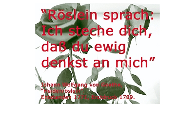 Selfpublishing – Zitieren, ja oder nein? Und was ist ein Schmuckzitat?